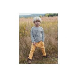 BLUZKA BENI GRAY "NIE BO NIE". Szare t-shirty chłopięce z nadrukiem marki M-art-a-baby, z elastanu, z długim rękawem. Za 54,00 zł.