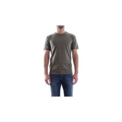 T-shirty z krótkim rękawem Premium By Jack jones 12118024 CONOR. Zielone t-shirty męskie Premium By Jack jones, m, bez wzorów, bez kołnierzyka, krótkie. Za 65,83 zł.