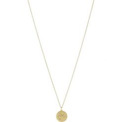 Naszyjniki damskie: Pilgrim SAGITTARIUS Naszyjnik goldcoloured/crystal