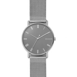 Zegarek SKAGEN - Signatur SKW6428 Silver/Silver. Szare zegarki męskie Skagen. Za 449,00 zł.