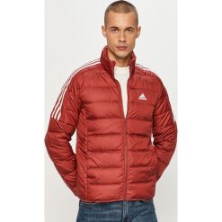 Adidas Performance - Kurtka puchowa. Pomarańczowe płaszcze męskie adidas Performance, s, bez wzorów, z poliesteru, krótkie, bez kaptura. Za 379,90 zł.