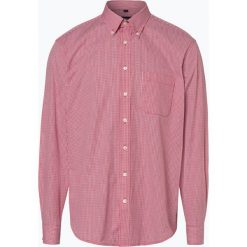 Mc Earl - Koszula męska, czerwony. Czerwone koszule męskie marki Mc Earl, m, z bawełny, biznesowe, button down. Za 99,95 zł.