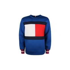 Bluzy Tommy Hilfiger MW0MW04574. Niebieskie bluzy męskie TOMMY HILFIGER, xl, bez wzorów, bez kołnierzyka, bez rękawów, bez kaptura. Za 299,00 zł.