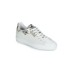 Buty Roberto Cavalli 6613. Białe trampki męskie Roberto Cavalli, bez wzorów, bez zapięcia. Za 1209,00 zł.