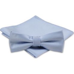 Modna Mucha Męska - Alties - Kolor Jasnoniebieski MUALTS0213. Niebieskie muszki męskie Alties, na imprezę, w paski, eleganckie. Za 40,00 zł.