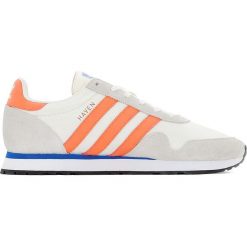 Trampki męskie: Buty sportowe Haven