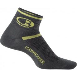 Skarpetki męskie: Icebreaker Skarpetki Sportowe Mens Multisport Ultra Light Mini Oil/Volt S