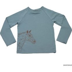 Koszulka z nadrukiem konia. Szare t-shirty chłopięce z nadrukiem marki Pakamera. Za 75,00 zł.