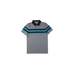 T-shirt polo męski w pasy. Szare koszulki polo męskie marki TXM, m. Za 19,99 zł.