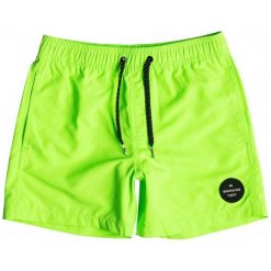 Spodenki chłopięce: Quiksilver Spodenki Everyday Solid Youth 13 B Green Gecko M/12