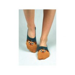 Skarpetki stopki z psem i kością. Szare skarpetki damskie marki Candysox.pl. Za 30,00 zł.