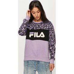 Fila - Bluza. Fioletowe bluzy damskie Fila, s, z nadrukiem, z bawełny, z długim rękawem, długie, bez kaptura. Za 299,90 zł.