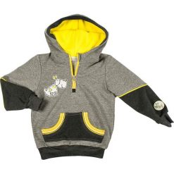 Mmdadak Bluza Chłopięca Dogs 110 Szary. Szare bluzy chłopięce rozpinane marki Mmdadak. Za 53,00 zł.