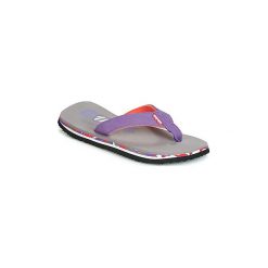 Japonki Cool shoe EVE SLIGHT. Szare klapki damskie Cool Shoe, bez wzorów, bez obcasa. Za 83,30 zł.