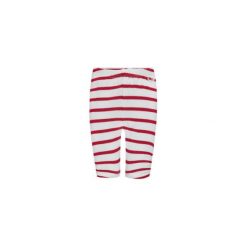 Spodnie niemowlęce: Steiff Girls Leginsy tango red