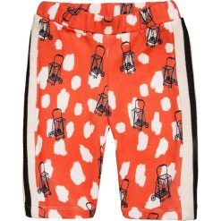 Spodnie chłopięce: Noé & Zoë BABY SPORTY PANTS Spodnie materiałowe orange