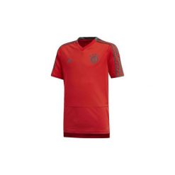 T-shirty z krótkim rękawem Dziecko adidas Koszulka treningowa Bayern Monachium. Czerwone t-shirty chłopięce z krótkim rękawem Adidas. Za 149,00 zł.