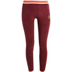 Spodnie dresowe damskie: Puma Spodnie treningowe burgundy