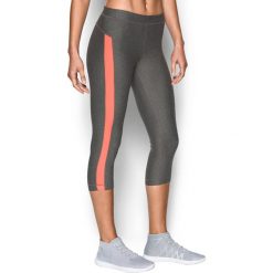 Legginsy: Legginsy w kolorze grafitowym