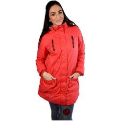 Cars-Jeans Kobiety Red Red Jacket brzuszek 4866460 (rozmiar S). Czerwone kurtki damskie Cars Jeans, s, bez wzorów, z jeansu. W wyprzedaży za 283,00 zł.