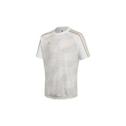 T-shirty z krótkim rękawem Dziecko adidas Koszulka Tango Graphic. Białe t-shirty chłopięce marki Adidas, z krótkim rękawem. Za 129,00 zł.
