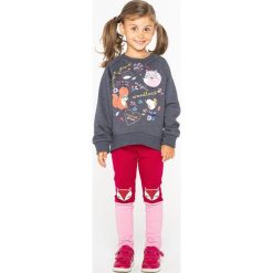 Lemon Explore - Bluza dziecięca 86-116 cm. Szare bluzy dziewczęce LEMON explore, z nadrukiem, z bawełny, bez rękawów, bez kaptura. W wyprzedaży za 39,90 zł.