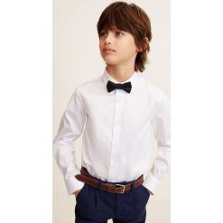 Mango Kids - Koszula dziecięca Hamilton 110-164 cm + mucha. Białe koszule chłopięce Mango Kids, z aplikacjami, z elastanu, eleganckie, z klasycznym kołnierzykiem, z długim rękawem, długie. Za 89,90 zł.