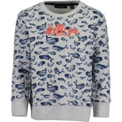 Blue Seven - Bluza dziecięca 92-128 cm. Szare bluzy chłopięce Blue Seven, bez wzorów, z bawełny, bez rękawów, bez kaptura. Za 69,90 zł.