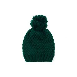 Czapka damska Pani zima zielona. Szare czapki zimowe damskie marki Art of Polo, z wełny. Za 28,94 zł.