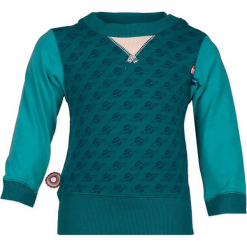 Koszulka "Northern Sky" w kolorze morskim. Zielone t-shirty chłopięce 4FunkyFlavours Kids, z długim rękawem. W wyprzedaży za 72,95 zł.