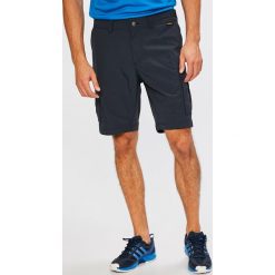 Jack Wolfskin - Szorty. Szare spodenki sportowe męskie Jack Wolfskin, z poliamidu, casualowe. Za 259,90 zł.