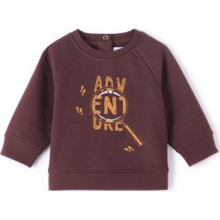 Bluzy niemowlęce: Bluza Oeko Tex