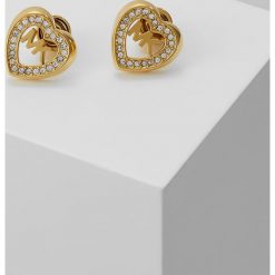 Kolczyki damskie: Michael Kors FASHION Kolczyki goldcoloured