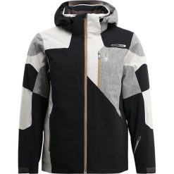 Kurtki sportowe męskie: Spyder VYPER Kurtka narciarska black/polar/limestone