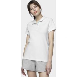 Koszulka polo damska. Koszulki damskie na co dzień, s, bez wzorów, z dzianiny, polo, bez rękawów. Za 79,99 zł.