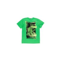 T-shirty męskie: t-shirt męski gładki, z printem