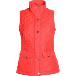 Polo Ralph Lauren Golf POLY PLAIN WEAVE Kamizelka blaze red. Czerwone kamizelki damskie marki Polo Ralph Lauren Golf, m, bez wzorów, z poliesteru, sportowe, bez kaptura. W wyprzedaży za 587,30 zł.