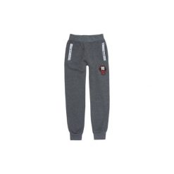 Spodnie chłopięce dresowe. Szare dresy chłopięce TXM, z dresówki. Za 23,99 zł.