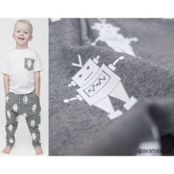 Spodnie chłopięce: Wiosenne spodnie baggy szare ROBOTY