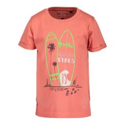 Blue Seven Koszulka Chłopięca Z Nadrukiem 92 Pomarańczowy. Pomarańczowe t-shirty chłopięce Blue Seven, z nadrukiem, z bawełny, bez rękawów. Za 45,00 zł.