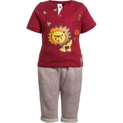 Spodnie chłopięce: Gelati Kidswear JOGGINGPANTS BABY SET Spodnie materiałowe multicolor