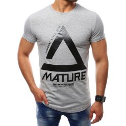 T-shirty męskie z nadrukiem: T-shirt męski z nadrukiem szary (rx2400)