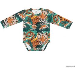 Body - Tiger In The Jungle. Szare body niemowlęce marki Pakamera, na zimę, bez wzorów, z bawełny, bez rękawów. Za 65,00 zł.