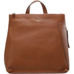 Plecaki damskie: Fiorelli FINLEY Plecak tan casual