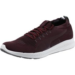 Buty Puma Ignite Proknit "Winetasting" (189909-08). Szare buty zimowe sportowe męskie Puma, bez zapięcia. Za 282,99 zł.