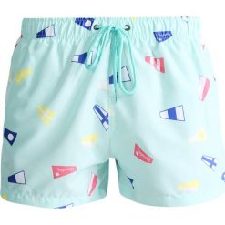 Kąpielówki męskie: Boardies FLAG Szorty kąpielowe mint