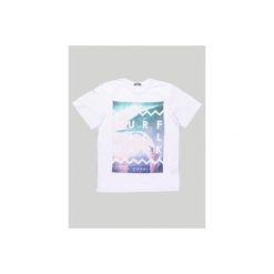 T-shirty męskie: t-shirt męski gładki, z printem