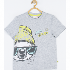 Koszulka. Szare t-shirty chłopięce LAZY AMAZY, z aplikacjami, z bawełny, z długim rękawem. Za 25,90 zł.