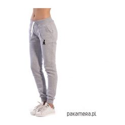 Szare Damskie Spodnie Dresowe Z Czarnym Kotem. Szare spodnie damskie Pakamera, s, z dresówki. Za 99,00 zł.