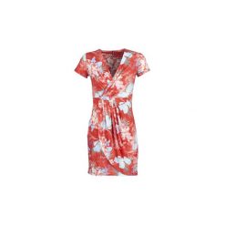 Sukienki krótkie Smash OKAINA. Czerwone sukienki damskie marki Smash, s, bez wzorów, bez kołnierzyka, z krótkim rękawem, krótkie, mini. Za 259,00 zł.